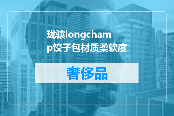 珑骧longchamp饺子包材质柔软度
