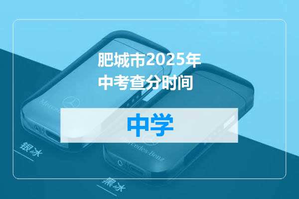 肥城市2025年中考查分时间