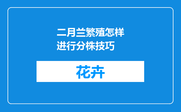 二月兰繁殖怎样进行分株技巧