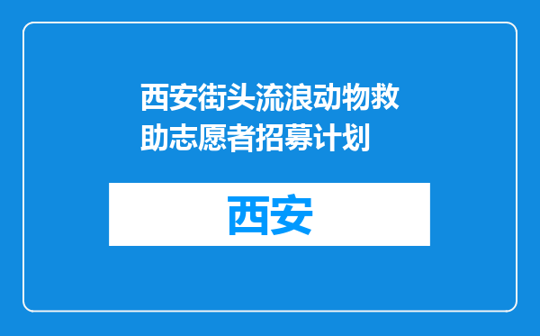 西安街头流浪动物救助志愿者招募计划