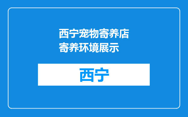 西宁宠物寄养店寄养环境展示