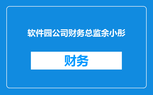 软件园公司财务总监余小彤