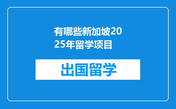 有哪些新加坡2025年留学项目