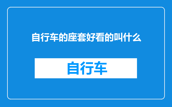 自行车的座套好看的叫什么