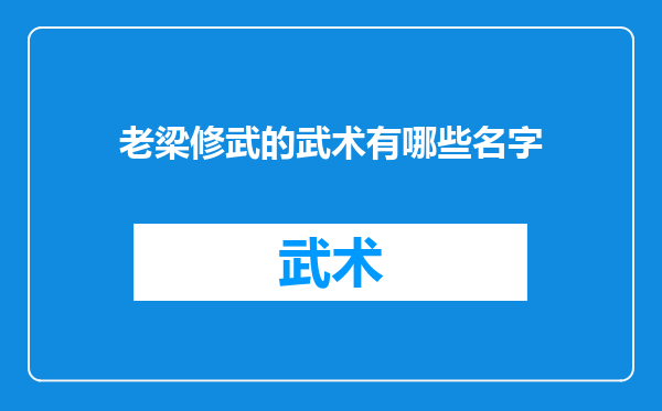 老梁修武的武术有哪些名字