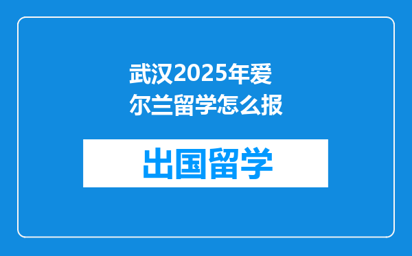 武汉2025年爱尔兰留学怎么报