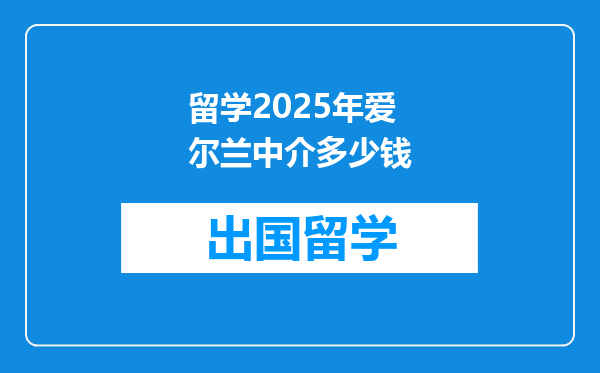 留学2025年爱尔兰中介多少钱