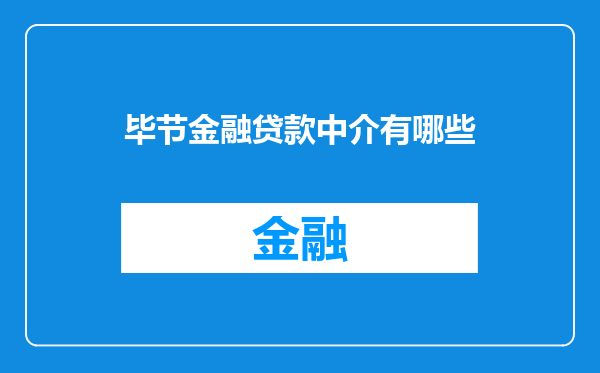 毕节金融贷款中介有哪些
