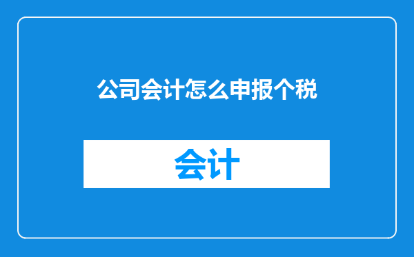 公司会计怎么申报个税