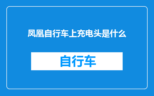 凤凰自行车上充电头是什么