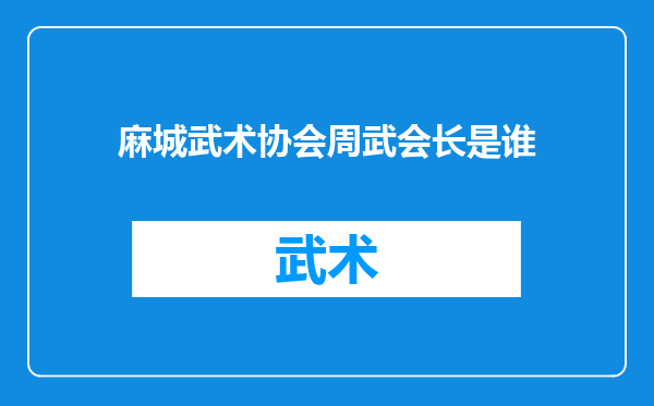 麻城武术协会周武会长是谁