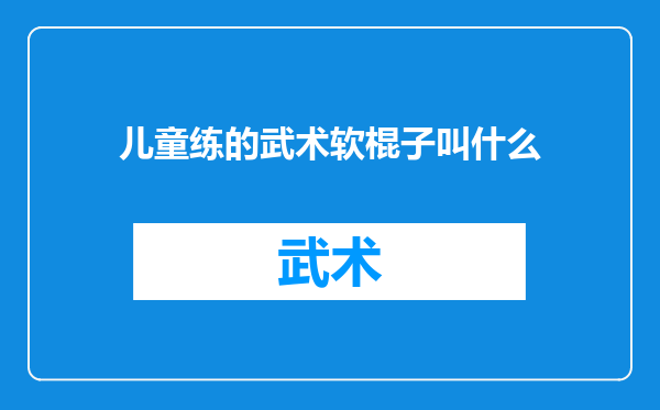 儿童练的武术软棍子叫什么