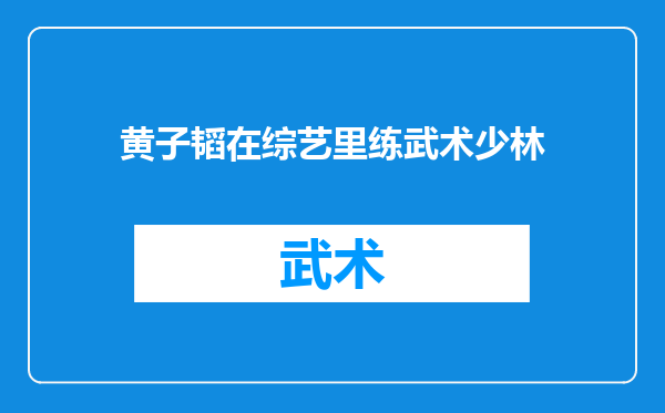 黄子韬在综艺里练武术少林