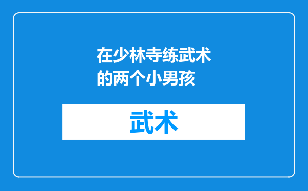在少林寺练武术的两个小男孩