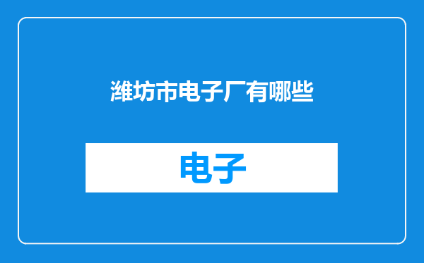 潍坊市电子厂有哪些