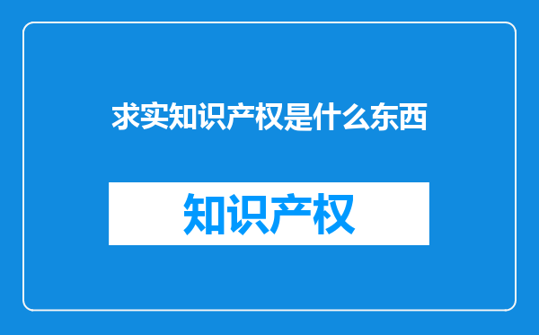 求实知识产权是什么东西
