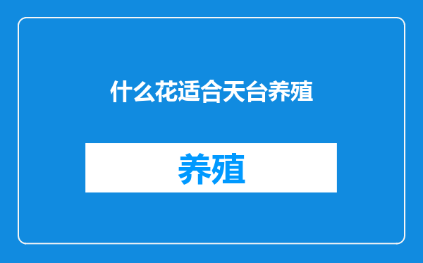 什么花适合天台养殖