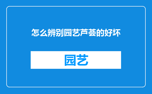 怎么辨别园艺芦荟的好坏