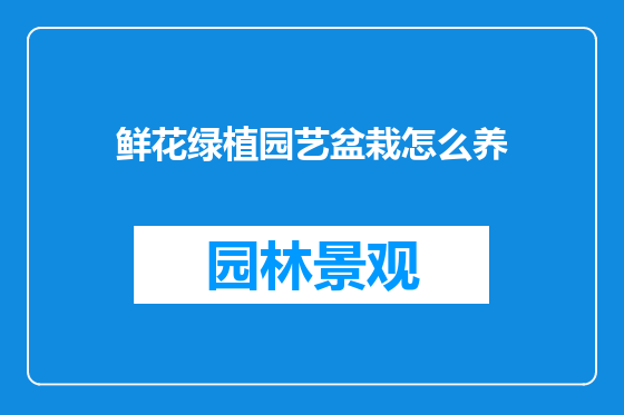 鲜花绿植园艺盆栽怎么养
