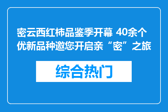 密云西红柿品鉴季开幕 40余个优新品种邀您开启亲“密”之旅
