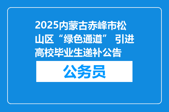 2025内蒙古赤峰市松山区“绿色通道” 引进高校毕业生递补公告