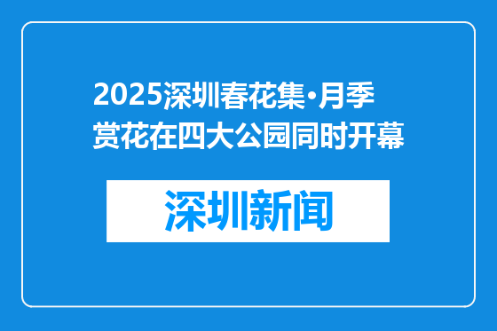 2025深圳春花集·月季赏花在四大公园同时开幕