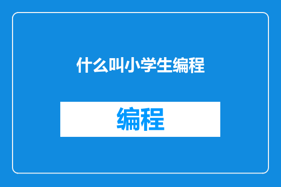 什么叫小学生编程