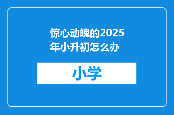惊心动魄的2025年小升初怎么办