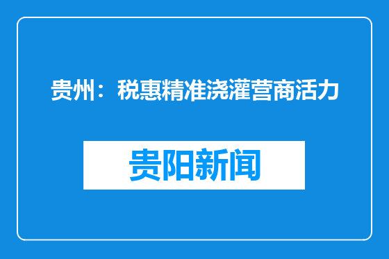 贵州：税惠精准浇灌营商活力