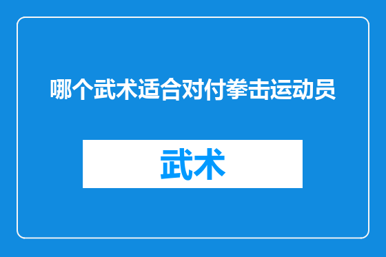 哪个武术适合对付拳击运动员