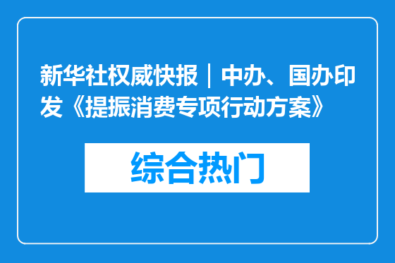 新华社权威快报｜中办、国办印发《提振消费专项行动方案》