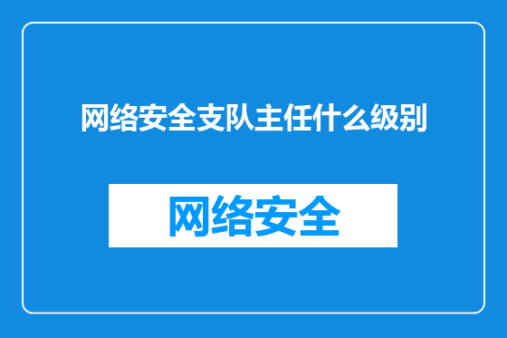 网络安全支队主任什么级别