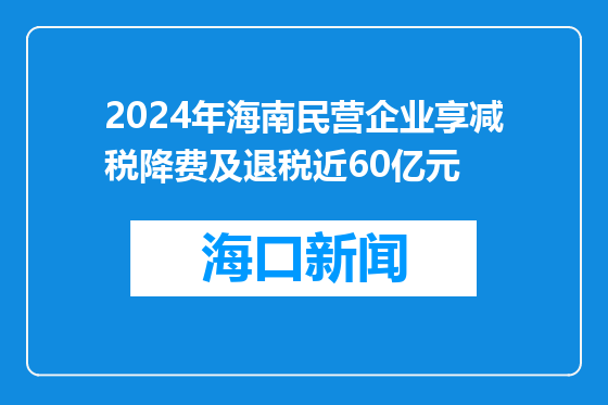 2024年海南民营企业享减税降费及退税近60亿元