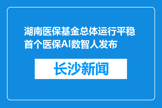 湖南医保基金总体运行平稳 首个医保AI数智人发布