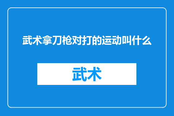 武术拿刀枪对打的运动叫什么