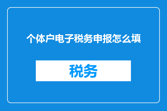 个体户电子税务申报怎么填