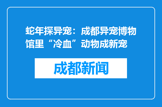 蛇年探异宠：成都异宠博物馆里“冷血”动物成新宠