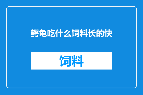 鳄龟吃什么饲料长的快