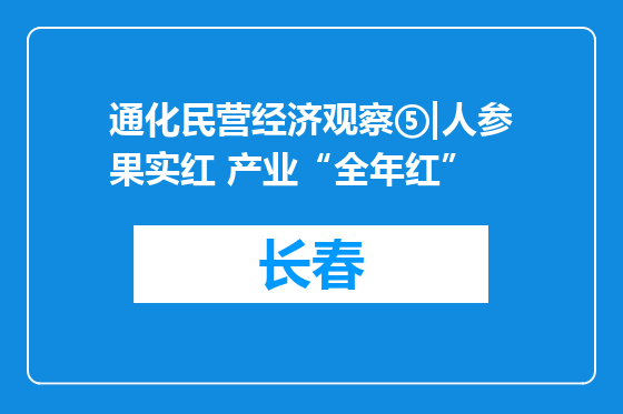 通化民营经济观察⑤|人参果实红 产业“全年红”