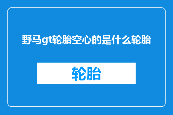 野马gt轮胎空心的是什么轮胎