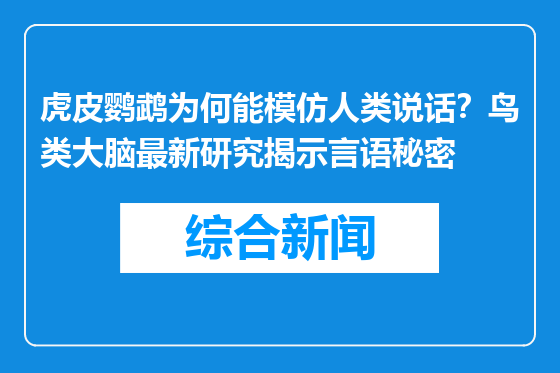 虎皮鹦鹉为何能模仿人类说话？鸟类大脑最新研究揭示言语秘密