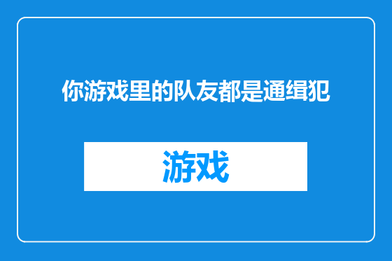 你游戏里的队友都是通缉犯
