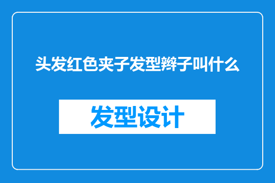 头发红色夹子发型辫子叫什么