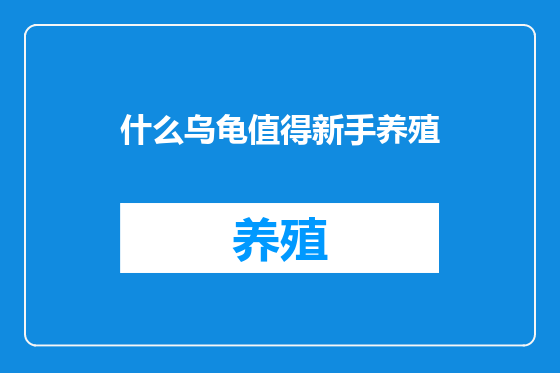 什么乌龟值得新手养殖