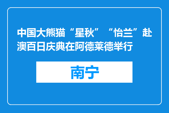 中国大熊猫“星秋”“怡兰”赴澳百日庆典在阿德莱德举行
