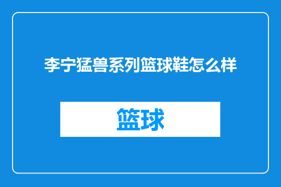 李宁猛兽系列篮球鞋怎么样