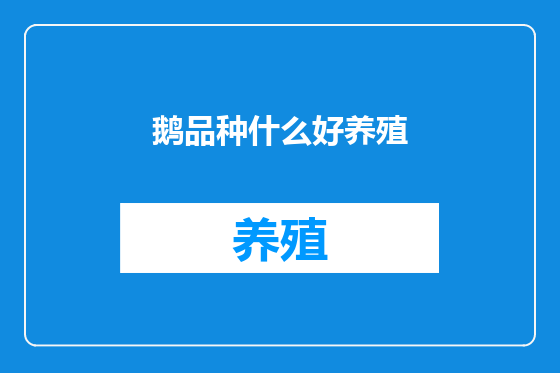 鹅品种什么好养殖
