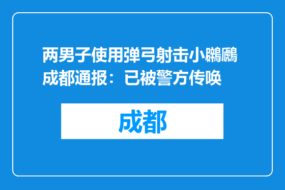 两男子使用弹弓射击小鸊鷉 成都通报：已被警方传唤