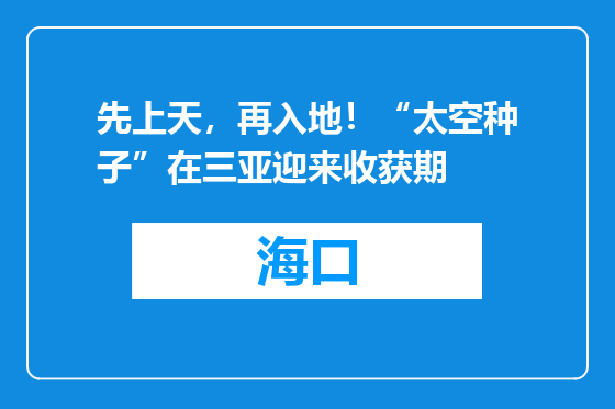 先上天，再入地！“太空种子”在三亚迎来收获期