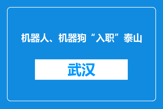 机器人、机器狗“入职”泰山